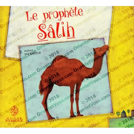 Pack "Les Histoires des Prophète" pour les petits
