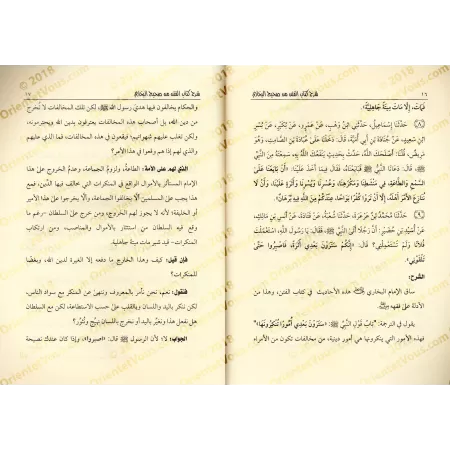 Explication du chapitre "al-Fitan" de Sahîh al-Bukhârî [Rabi' al-Madkhalî]/شرح كتاب الفتن من صحيح البخاري - ربيع المدخلي
