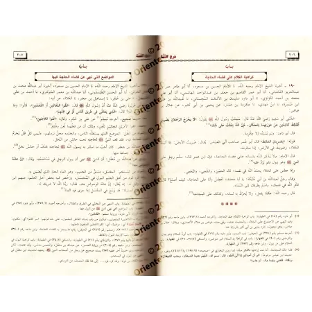 Sharh As-Sunnah d'al-Baghawî [3 Volumes]/شرح السنة للبغوي
