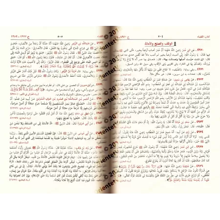 Recueil des hadiths de "Jâmi' al-Usûl" et "Majmu' az-Zawâ'id"/جمع الفوائد من جامع الأصول ومجمع الزوائد