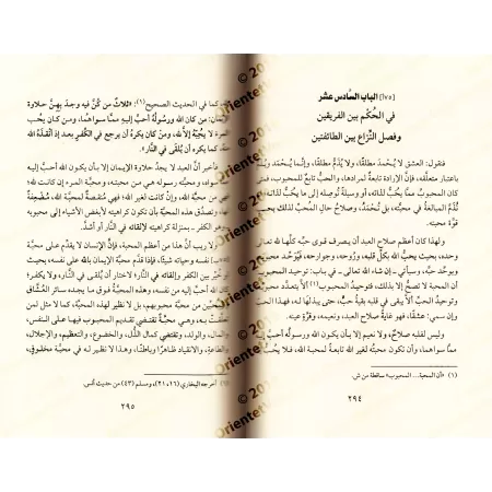 Rawdatu al-Muhibbîn wa Nuzhatu al-Mushtâqîn [Vérification supervisé par Bakr Abû Zayd]/روضة المحبين ونزهة المشتاقين - تحقيق بإشر