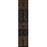 Kitâb ar-Rûh - L'âme d'Ibn Qayyim [Vérification supervisé par Bakr Abû Zayd]/كتاب الروح لابن قيم - تحقيق بإشراف بكر أبو زيد