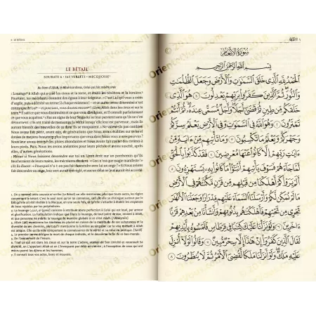 Le Coran et la Traduction du Sens de ses Versets [Tawbah]