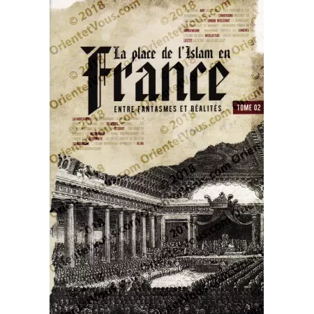 La place de l'Islam en France: Entre Fantasmes et Réalités - Tome 2