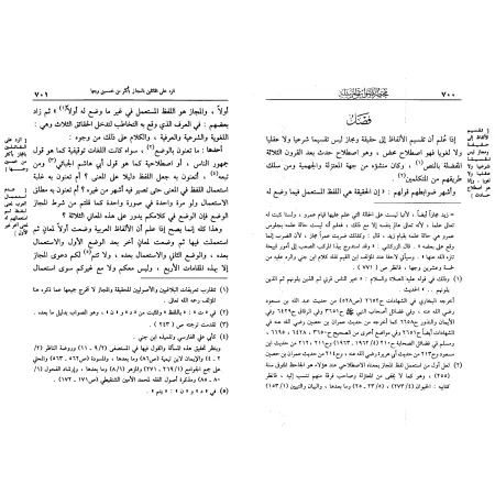 Mukhtasar as-Sawâ'iq al-Mursalah [Muhammad ibn al-Mûsilî]/مختصر الصواعق المرسلة - محمد بن الموصلي