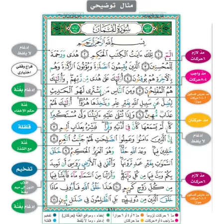 Coran de Tajwîd [Hafs]/مصحف التجويد [حفص]