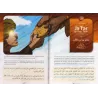 La Famille du Prophète (ﷺ) - Tome 3 : Les cousins du Prophète