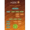 La Famille du Prophète (ﷺ) - Tome 3 : Les cousins du Prophète