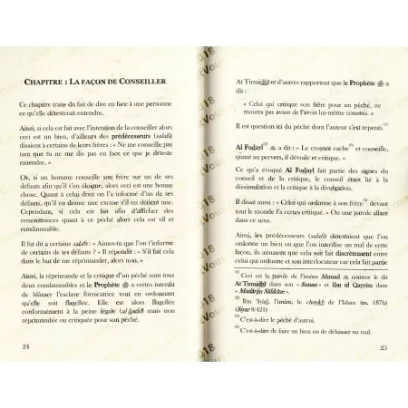 La Différence entre le Conseil et la Critique
