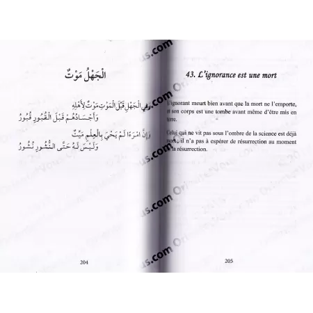 Les Perles Méconnues de 'Alî ibn Abî Tâlib