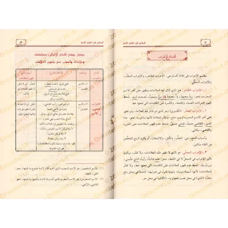 al-Mughnî fî Ta’lîm an-Nahu: Explication concise des règles grammaticales/المغني في تعليم النحو