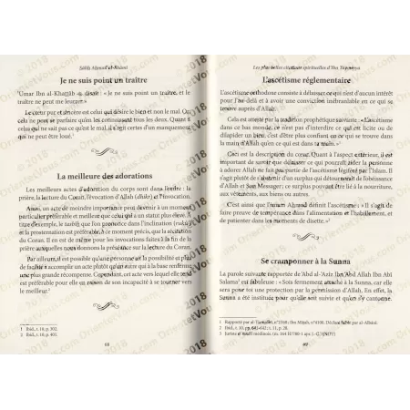 Les plus belles citations spirituelles d'Ibn Taymiyya
