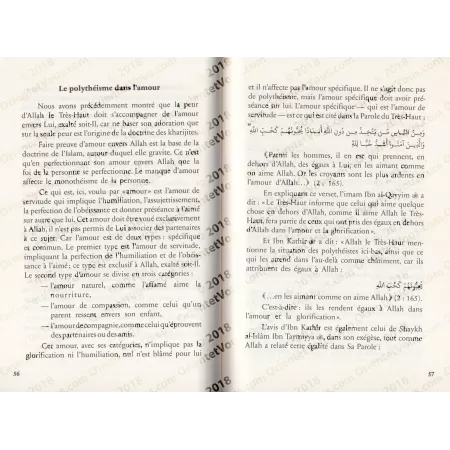 Le sens de Lâ Ilâha Illallâh et les formes du polythéisme