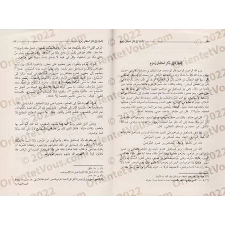 Explication d'as-Sîrah an-Nabawiyyah d'Ibn Hishâm/السيرة النبوية لابن هشام بشرح الوزير المغربي
