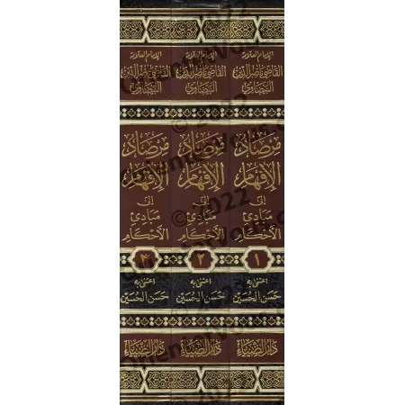 Explication de "Mukhtas̱ar al-Muntahā" d'Ibn al-Hâjib [al-Baydâwî]/مرصاد الإفهام إلى مبادىء الأحكام