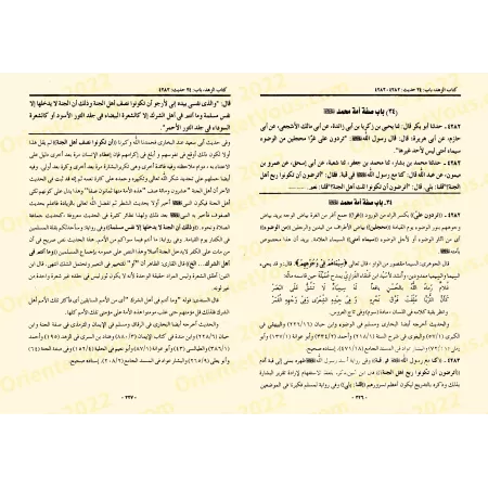 Explication de Sunan Ibn Mâjah [Jânbâz]/إنجاز الحاجة شرح سنن ابن ماجه - جانباز