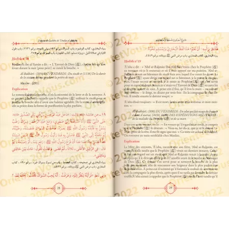 Exégèse des hadîths de 'Umdat al-Ahkâm min kalâm khayr al-Anâm [al-'Uthaymîn et Âl Bassâm]