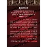 Muslim Challenge : Le Prophète Muhammad (ﷺ) 