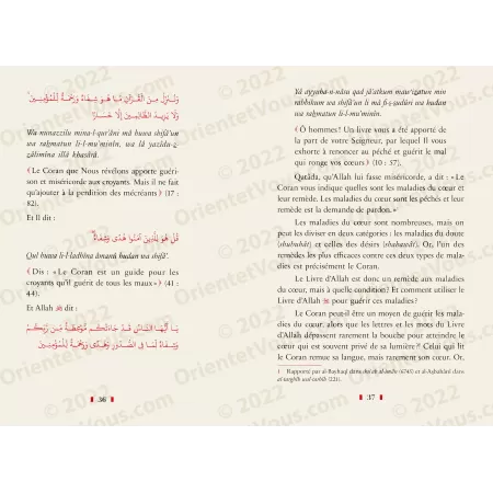 Le coran corde tendue entre Allah et les hommes