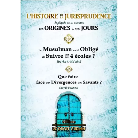 L'histoire de la jurisprudence expliqué par les savants des origines à nos jours
