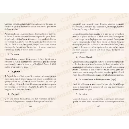 Le livre de la langue et du coeur [Ibn Juzayy]