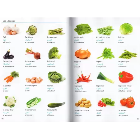 Dictionnaire Visuel Arabe