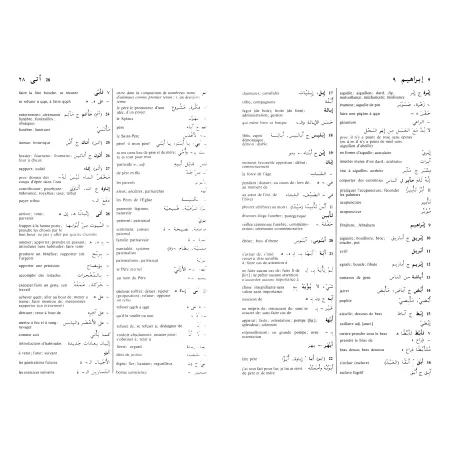 Dictionnaire Larousse Arabe-Français/ Français-Arabe [RARE]