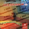 L'émouvante Histoire du repentir de Ka'b ibn Malik