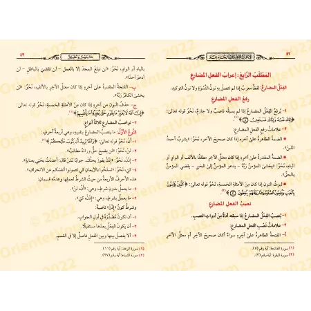 L'Analyse Grammaticale Appliquée du Juz 'Amma : Théorie et Pratique/الإعراب التطبيقي لجزء عم: تأسيس وتطبيق