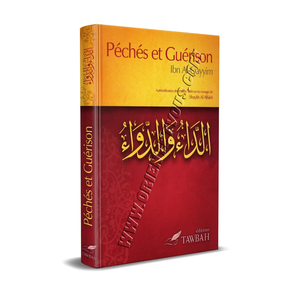 Péchés et Guérison