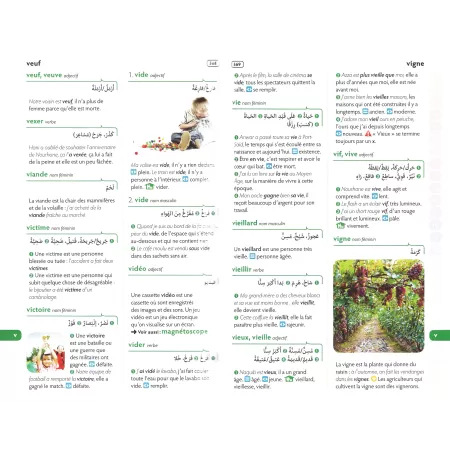 Larousse des écoliers : Dictionnaire illustré (français-français-arabe)/لاروس الطلاب: قاموس مصور فرنسي-فرنسي-عربي