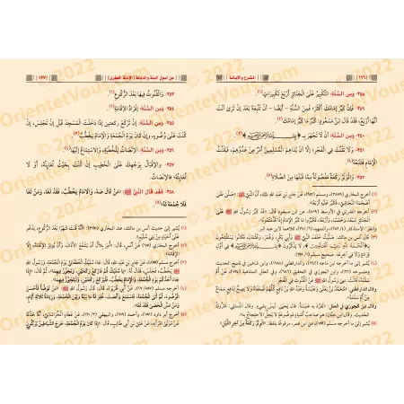 Al-Ibânah al-Sughrâh (al-Sharḥ wa-l-Ibâna 'alâ Usûl al-Sunnah wa-l-Diyânah)/الإبانة الصغرى (الشرح والإبانة على أصول السنة والديا