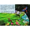 Le prophète Adam - Histoires des Prophètes pour les Petits