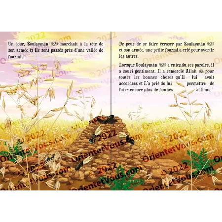 Le prophète Soulaymân - Histoires des Prophètes pour les Petits