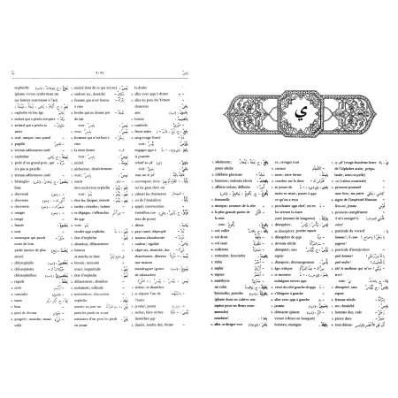 Le Grand Dictionnaire Abdel-Nour (Arabe-Français) - معجم عبد النور المفصل (عربي - فرنسي)