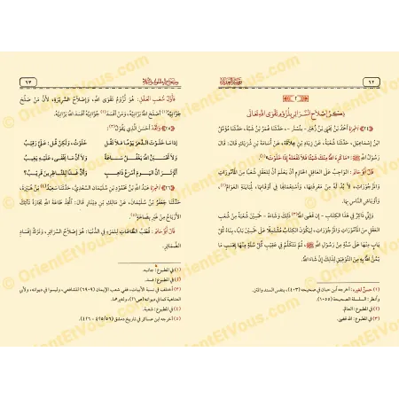 Rawdat al-Uqala by Ibn Hibban - Islamic Ethics
