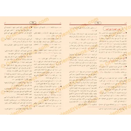 النهاية في غريب الحديث – معجم مصطلحات الحديث النبوي