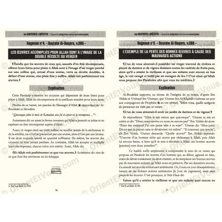 Wisdoms to Reflect On – Quranic Examples by Ibn Kathir
