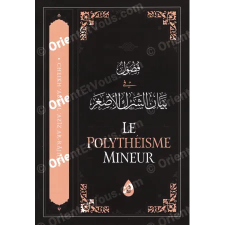 Le polythéisme mineur – Fondements et dangers en islam