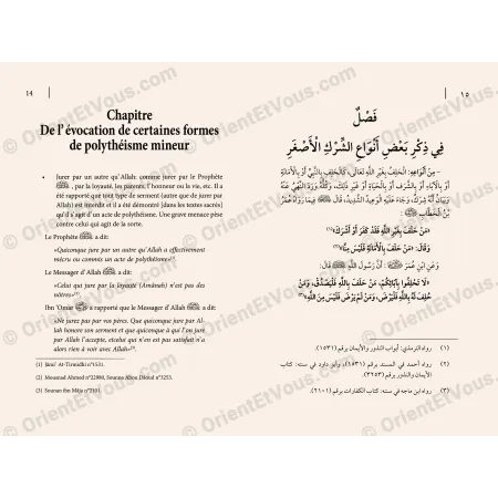 Minor Polytheism – Types and Warnings in Islam [French/Arabic]