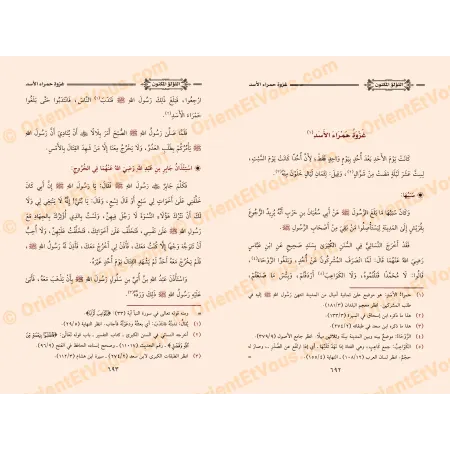 اللؤلؤ المكنون في سيرة النبي المأمون – دراسة محققة