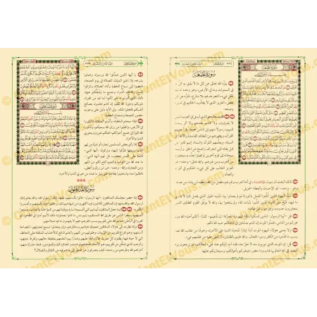 التفسير الميسر – تفسير مختصر وواضح للقرآن