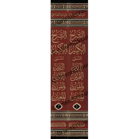 الشرح الكبير: الدر الثمين والمورد المعين، جانبا المجلدين مزينان بنقوش ذهبية جميلة