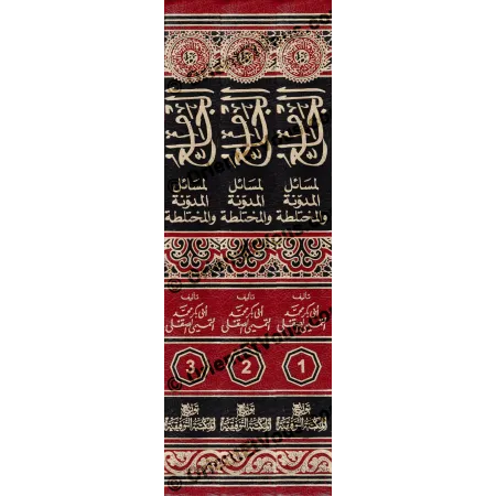 حواف المجلدات الثلاثة من الجامع لمسائل المدونة الصقلي تظهر أرقام ١ و٢ و٣ واسم المؤلف
