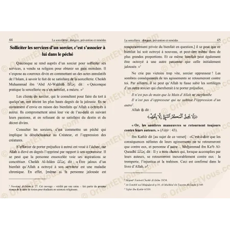 Extrait intérieur du livre sur la sorcellerie montrant un passage lié aux dangers et aux remèdes légiférés