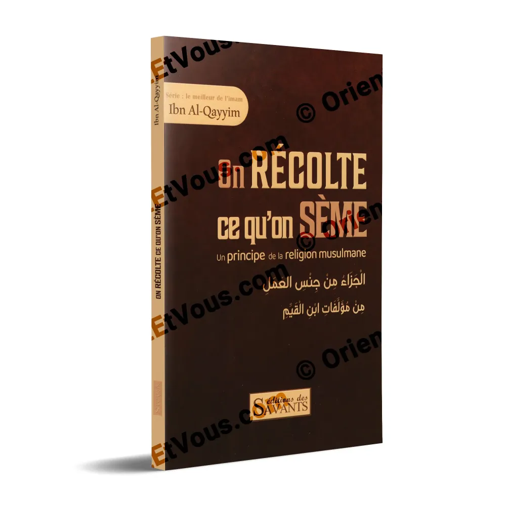 Livre On récolte ce qu’on sème en vue 3D, présentation de la couverture, phrase-clé on récolte ce qu’on sème