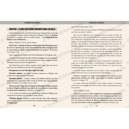 Inner pages of the book “Where Will You Be in the Hereafter?” showing the chapter on the destiny of believing jinn