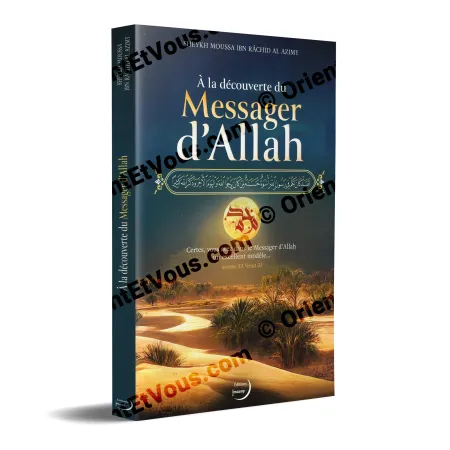 3D cover of The Prophetic Biography in Brief Posts showing the desert landscape and the golden design.