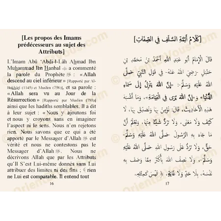 Inside pages of Lumatu al I tiqad showing French Arabic bilingual text, French book