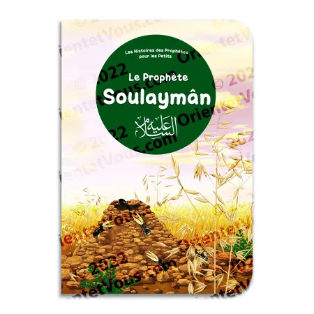 Illustration du livre Le Prophète Soulaymân, Les Histoires des Prophètes pour les Petits, montrant son royaume et la sagesse